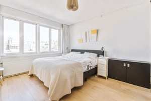 Luxury bed with soft colorful pillows and blanket located against green wall and window in stylish bedroom