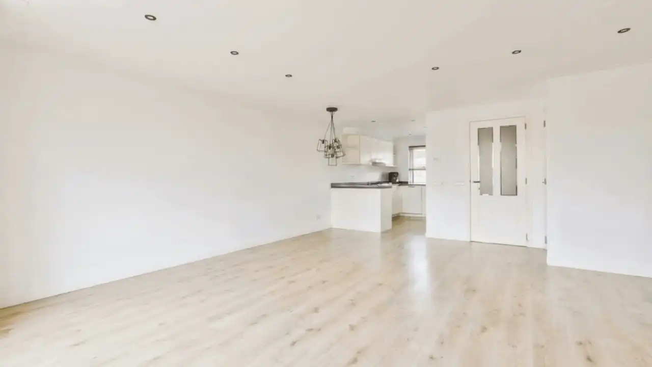 Image2Video mode "furnish room"